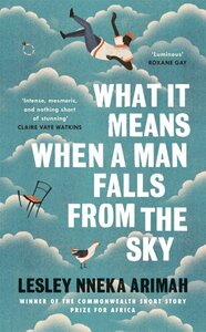 What It Means When A Man Falls From The Sky by Lesley Nneka Arimah