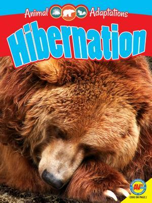 Hibernation by Pamela McDowell