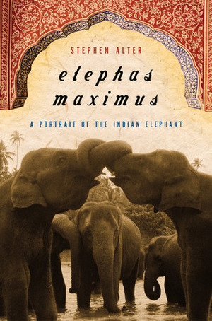 Elephas Maximus: A Portrait of the Indian Elephant by Stephen Alter