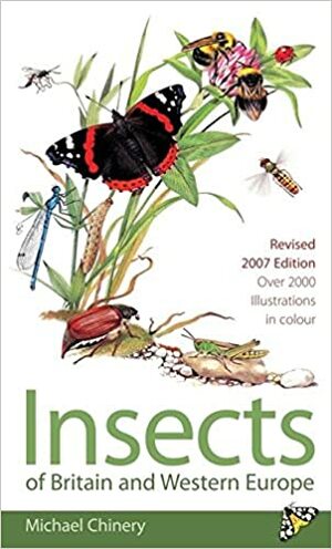Domino Guide To The Insects Of Britain And Western Europe by Michael Chinery