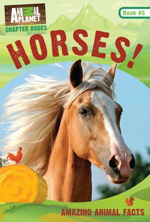 Horses! by Brenda Scott Royce