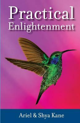 Practical Enlightenment by Ariel And Shya Kane
