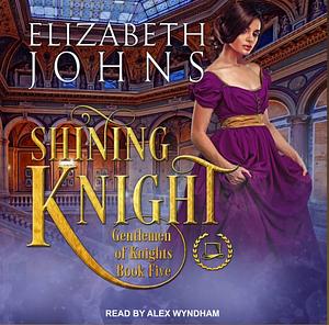 Shining Knight by Elizabeth Johns