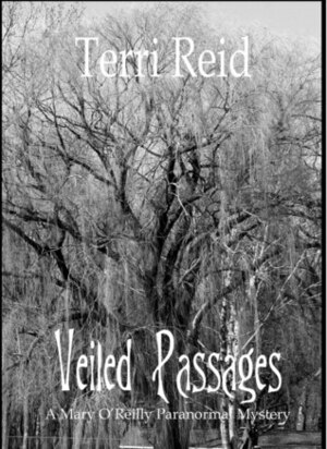 Veiled Passages by Terri Reid