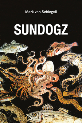 Sundogz by Mark von Schlegell