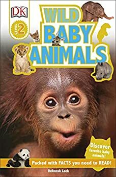 Wild Baby Animals by Karen Wallace, Deborah Lock