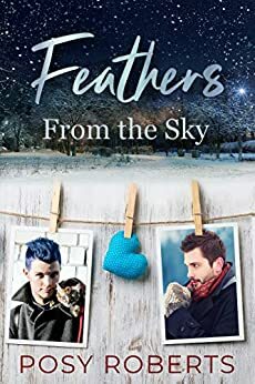Feathers From the Sky by Posy Roberts