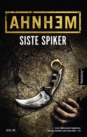 Siste spiker by Stefan Ahnhem