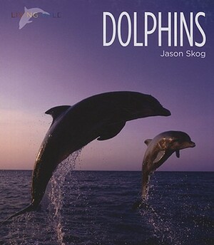 Dolphins by Jason Skog