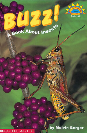 Buzz!: A Book about Insects by Melvin A. Berger