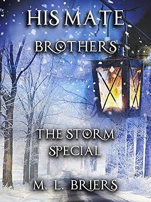 The Storm Special by M.L. Briers, M.L. Briers