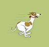 delaney_swift's profile picture