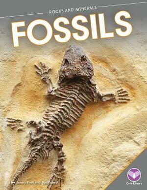 Fossils by Jennifer Fretland VanVoorst