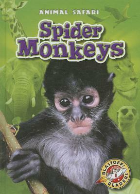 Spider Monkeys by Megan Borgert-Spaniol