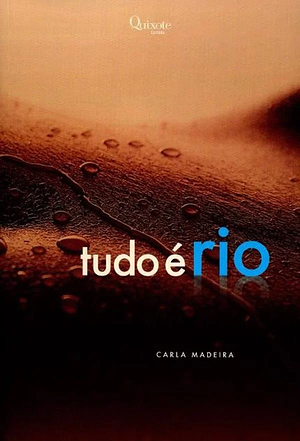 Tudo é rio by Carla Madeira