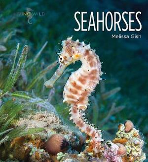 Seahorses by Melissa Gish