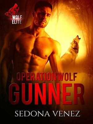Operation Wolf: Gunner by Sedona Venez