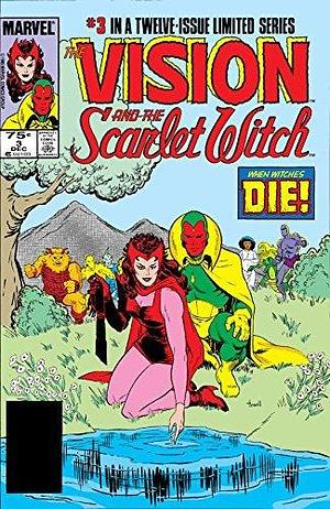 The Vision and The Scarlet Witch (1985-1986) #3 by Fred Hembeck, Steve Englehart, Richard Howell