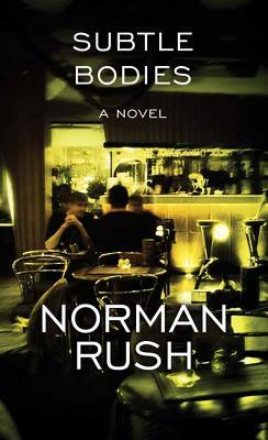 Subtle Bodies by Norman Rush