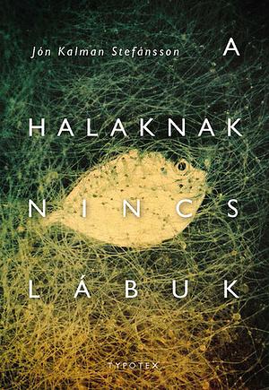 A halaknak nincs lábuk by Jón Kalman Stefánsson