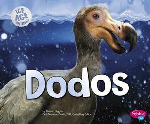 Dodos by Melissa Higgins