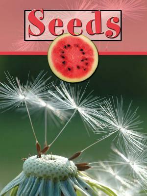 Seeds by Lynn Stone