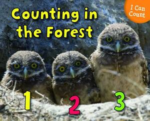 Counting in the Forest by Rebecca Rissman