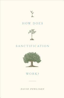 How Does Sanctification Work? by David Powlison