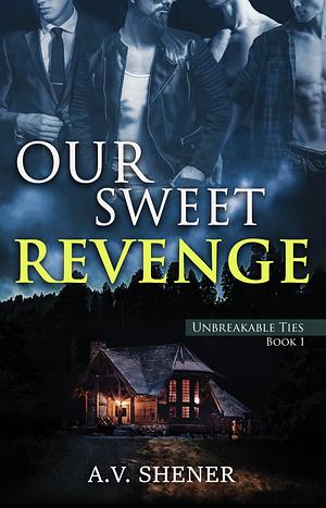 Our Sweet Revenge by A.V. Shener