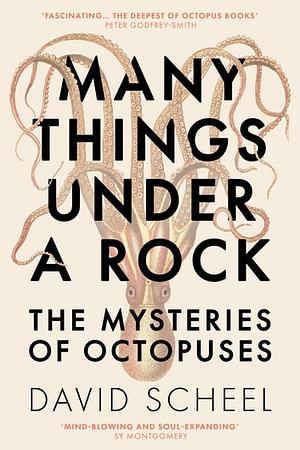 Many Things Under a Rock: The Mysteries of Octopuses by David Scheel