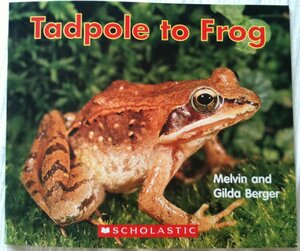 Tadpole To Frog by Melvin A. Berger