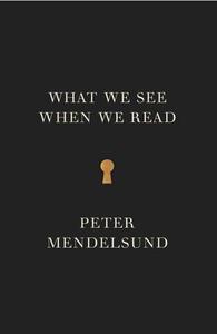 What We See When We Read by Peter Mendelsund