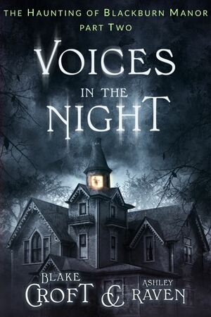 Voices in the Night by Blake Croft, Ashley Raven