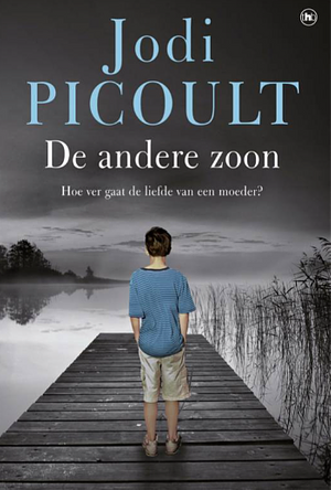 De andere zoon by Jodi Picoult