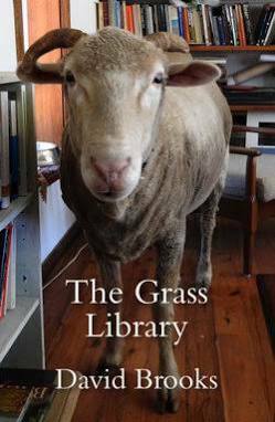 The Grass Library by David Brooks