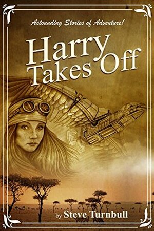 Harry Takes Off by Steve Turnbull