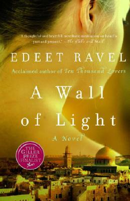 A Wall of Light by Edeet Ravel