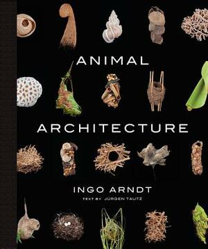 Animal Architecture by Ingo Arndt