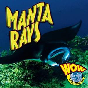 Manta Rays by Judy Wearing