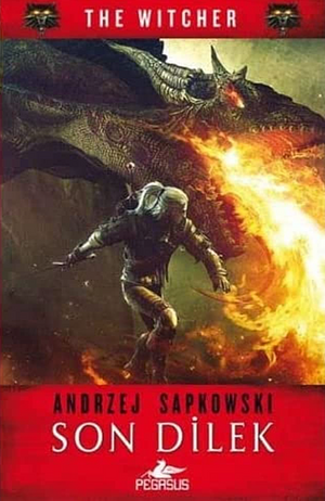 The Witcher - Son Dilek: The Witcher Serisi 1 by Andrzej Sapkowski