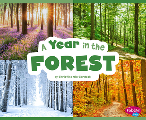 A Year in the Forest by Christina MIA Gardeski