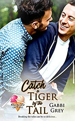 Catch a Tiger by the Tail (One Scoop or Two, #1) by Gabbi Grey
