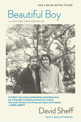 Beautiful Boy (Tie-In): A Father's Journey Through His Son's Addiction by David Sheff