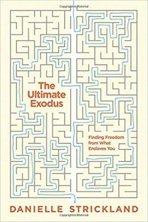 The Ultimate Exodus: Finding Freedom from What Enslaves You by Danielle Strickland