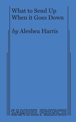 What to Send Up When it Goes Down by Aleshea Harris