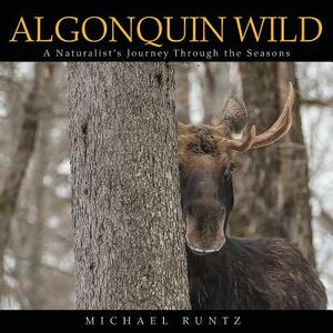 Algonquin Wild: A Naturalist's Journey Through the Seasons by Michael Runtz
