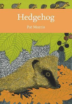 Hedgehog by Pat Morris, Pat Morris