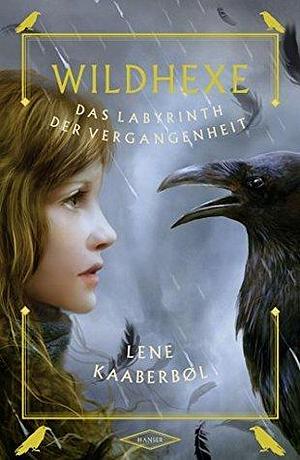 Das Labyrinth der Vergangenheit by Lene Kaaberbøl, Friederike Buchinger