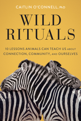 Wild Rituals: 10 Lessons Animals Can Teach Us about Connection, Community, and Ourselves by Caitlin O'Connell