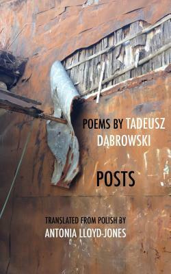 Posts by Antonia Lloyd-Jones, Tadeusz Dąbrowski